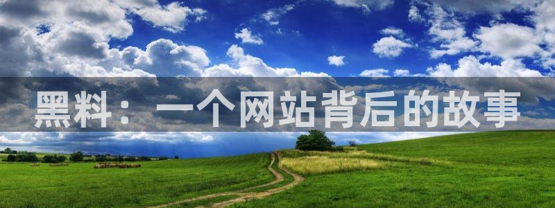 51吃瓜网今日必吃大瓜：黑料：一个网站背后的故事