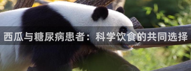 718.sⅹ吃瓜718.sx：西瓜与糖尿病患者：科学饮食的共同选择