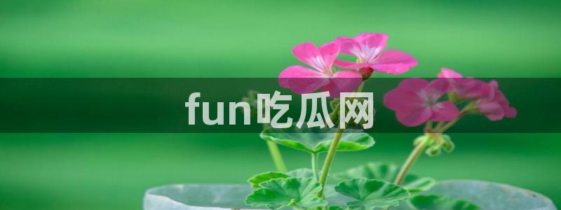 51cg吃瓜今日吃瓜：fun吃瓜网