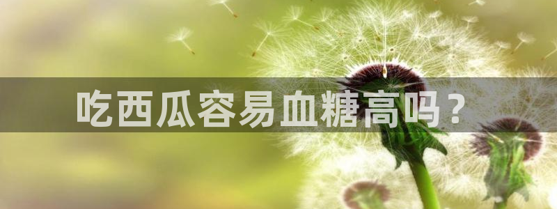 吊瓜树的瓜可以吃吗