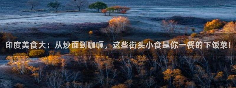 51吃瓜 张津瑜 网