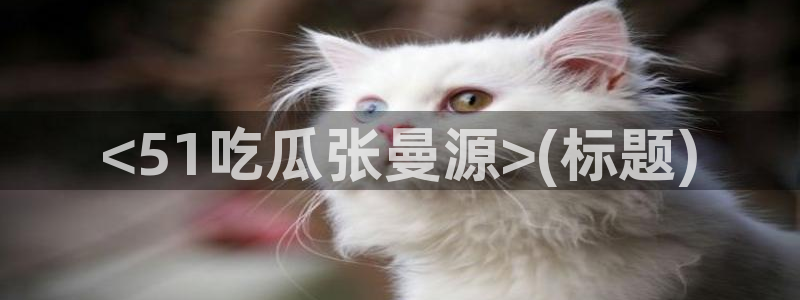 网站吃瓜