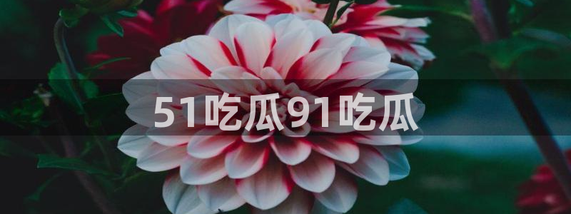 51吃瓜nanataipei：51吃瓜91吃瓜
