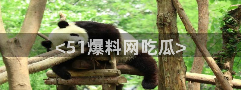 51cg吃瓜网每日吃瓜：<51爆料网吃瓜>