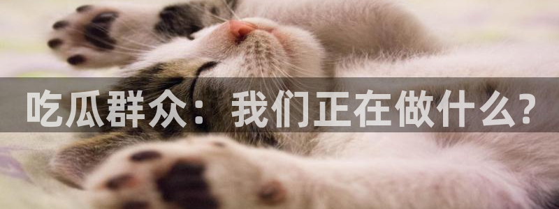 长生武道:从九龙夺嫡开始吃瓜