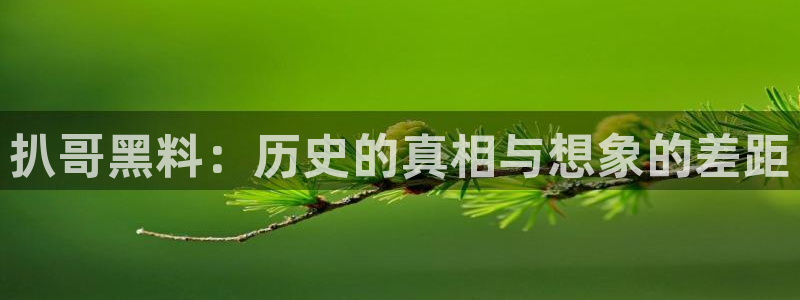 吃瓜新闻：扒哥黑料：历史的真相与想象的差距
