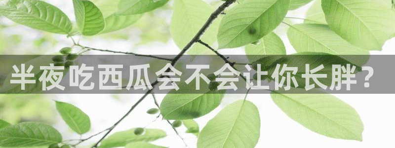51cg吃瓜今日吃瓜