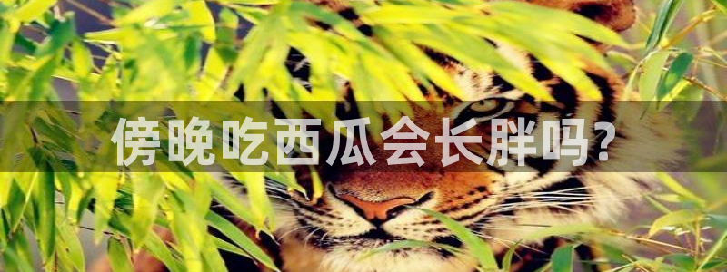 51吃瓜出品短剧怎么下载：傍晚吃西瓜会长胖吗?