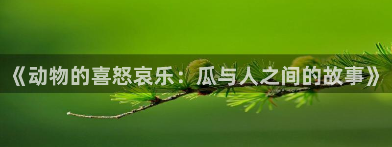 国产精品韩日中出吃瓜：《动物的喜怒哀乐：瓜与人之间的故事》