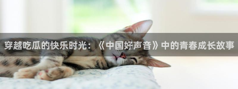 长生武道从九龙夺嫡开始吃瓜：穿越吃瓜的快乐时光：《中国好声音》中的青春成长故事