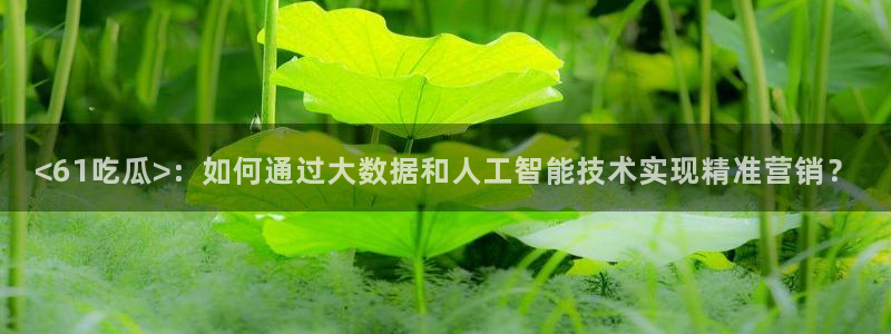 吊瓜树的瓜可以吃吗：<61吃瓜>：如何通过大数据和人工智能技术实现精准营销？